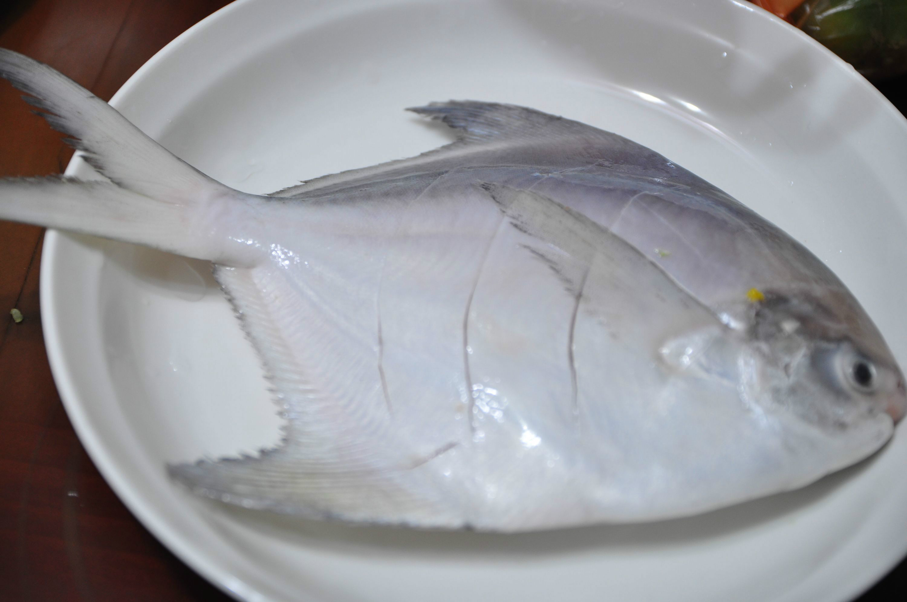 【魚大俠】FH020白鯧200/300(訂購前請先詢問價格庫存)