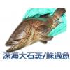 【魚大俠】FH065超低溫活體船凍深海大石斑/俗稱鮢過魚,適合魚湯 清蒸 三杯皆宜