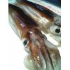 【魚大俠】SD027北海道函館活凍真魷魚(約350g尾)