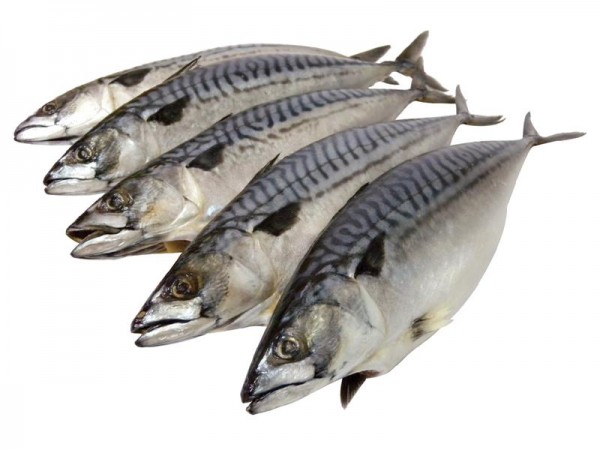 【魚大俠】當月優惠價 薄鹽漬挪威鯖魚375g/尾 史上最優惠賠錢賣!!請看內文優惠