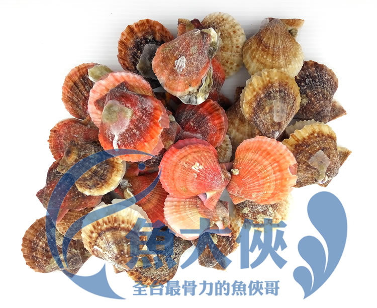 1E3A【魚大俠】BC026生凍全殼櫛孔貝(6-8cm/顆/約30顆/900g/包)