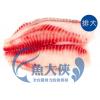整件-台灣-紅鯛魚片(190~250g規/10kg/件)#排大整件-1B6A【魚大俠】FH324