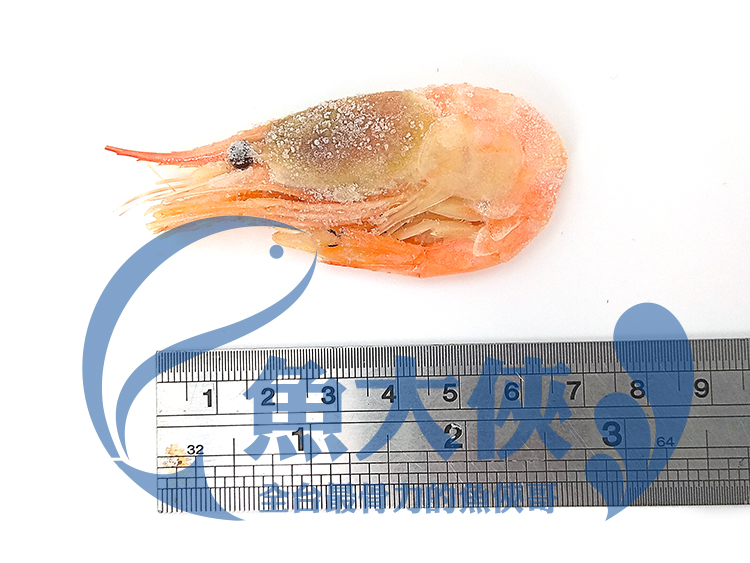 A1【魚大俠】SP066加拿大腳卵甜蝦(5kg/件)