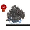 G0【魚大俠】FF150澎湖梅子口味紫菜酥(50g/包)(買3送1包-買5送3包)