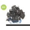 G0【魚大俠】FF152澎湖原味紫菜酥(50g/包)(買3送1包-買5送3包)
