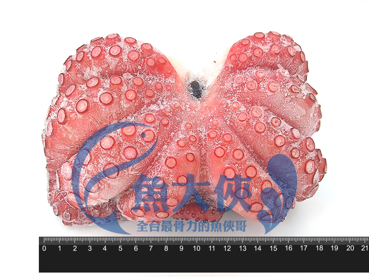 D3【魚大俠】SD016日本特選無包冰熟大章魚(約1kg/尾)