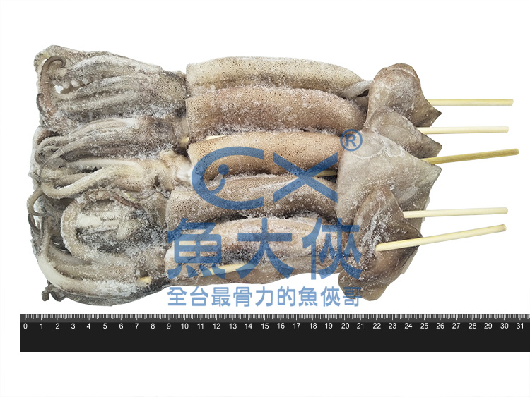 1G4B【魚大俠】SD045串燒阿根廷小魷魚(130~150g/尾/5尾/包)已殺菁串籤/夜市烤魷魚炸魷魚烤小卷專用魷魚批發