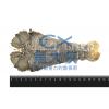 1J2A【魚大俠】SP091斯里蘭卡蝦蛄(約100~150g/尾)