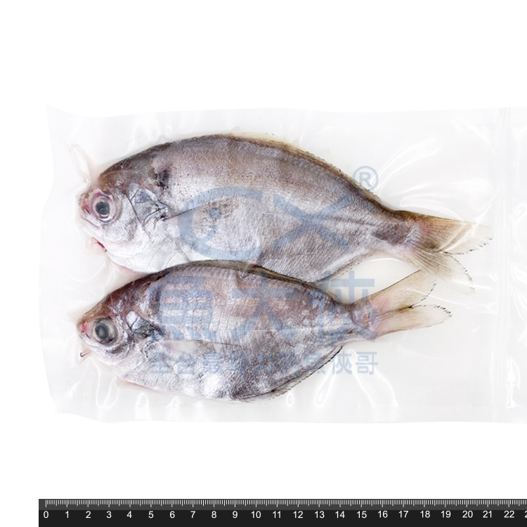 1G6B【魚大俠】FH296澎湖-三去肉魚/刺鯧(2尾/200g/包)