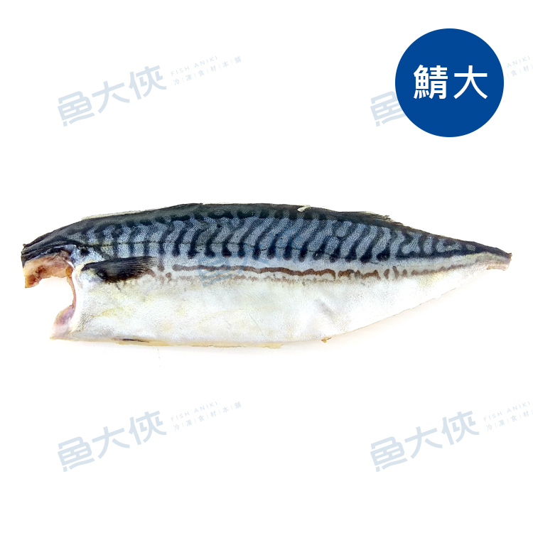 信揚-整件鯖大-薄鹽挪威鯖魚片(170~210g規/10kg/件)#整件-1D1B【魚大俠】FH327