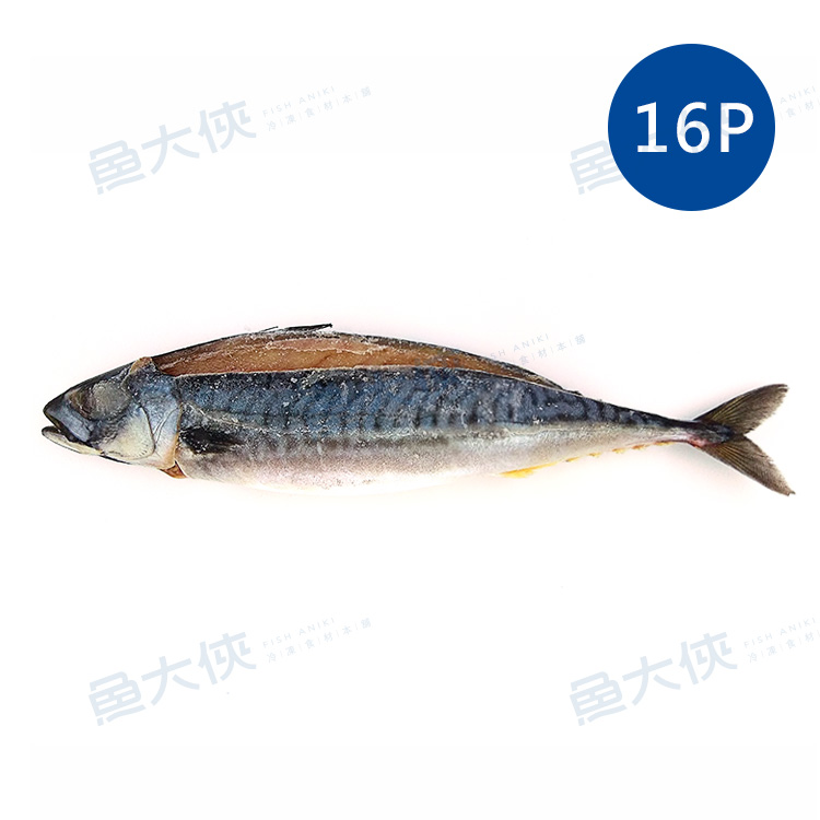 1D1A【魚大俠】FH147薄鹽漬挪威鯖魚(15~16尾/6kg/件)#MK1516P