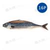 薄鹽漬挪威鯖魚(15~16尾/6kg/件...