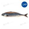 薄鹽漬挪威鯖魚(14尾/6kg/件)#M...