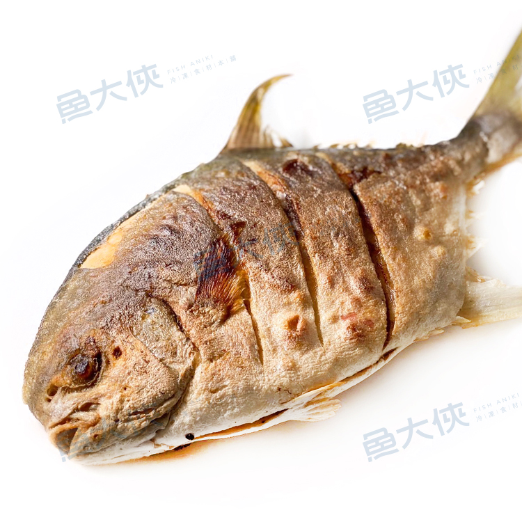 二去-黃金鯧魚(600g/尾)#紅衫-2G4A【魚大俠】FH341