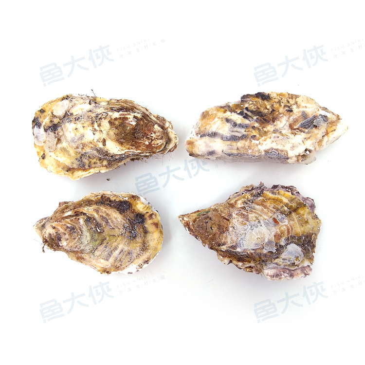 日本-全殼牡蠣(約8~12顆/1kg)-1H3A【魚大俠】BC020