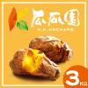 瓜瓜園-大包裝冰烤地瓜(約70顆/3kg/袋)#全素#烤70-1D2B【魚大俠】AR053