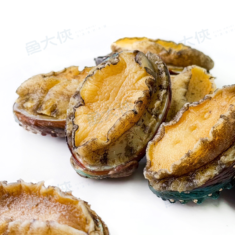 熟凍-帶殼盤鮑魚(20~24顆/淨550g/包)-1H4A【魚大俠】BC075