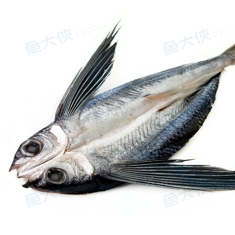 大規格-台灣飛魚一夜干(300g/尾)-1G3B【魚大俠】FH414